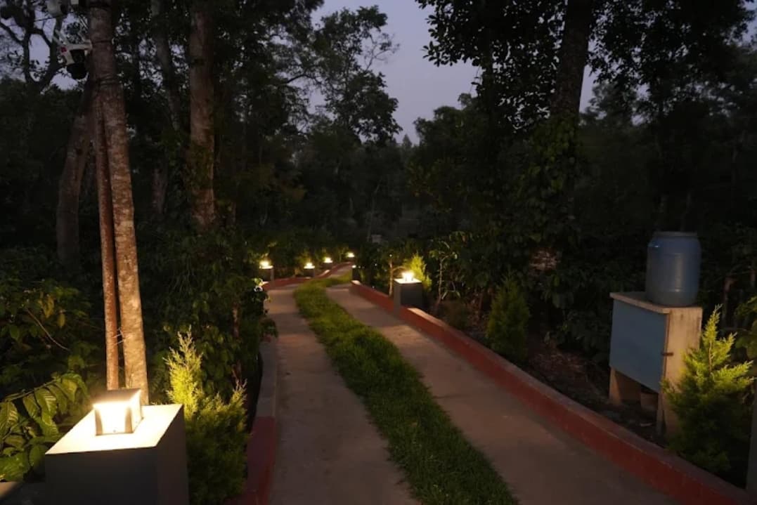 Lit pathway through the coffee estate at Mistora Estate Villa